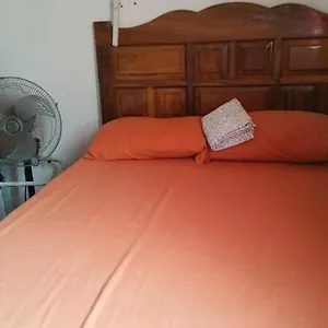  Pensión Luna Vallarta